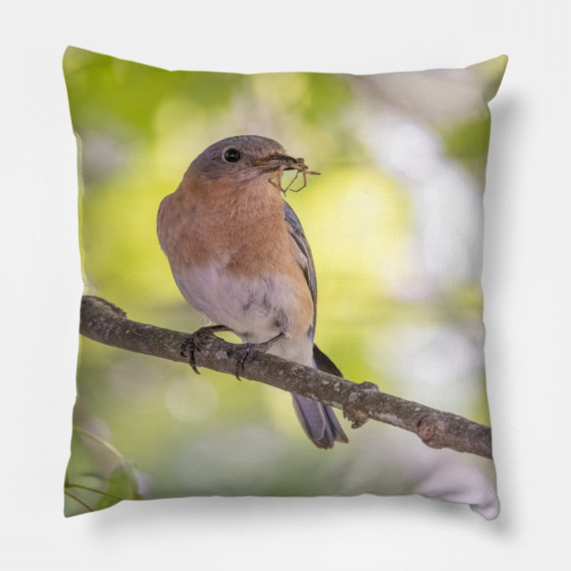 Eastern Bluebird with breakfast Pillow by BirdsnStuff