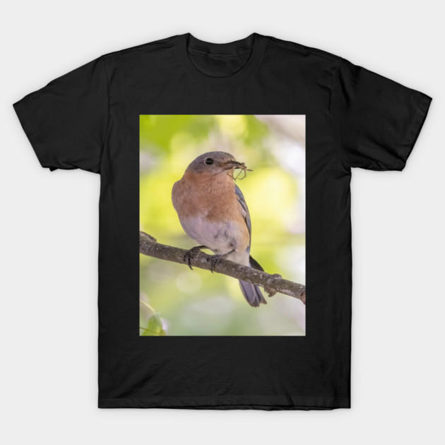 Eastern Bluebird with breakfast T-Shirt by BirdsnStuff
