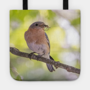 Eastern Bluebird with breakfast Tote