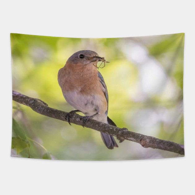 Eastern Bluebird with breakfast Tapestry by BirdsnStuff