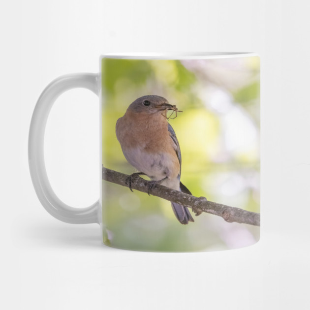 Eastern Bluebird with breakfast by BirdsnStuff