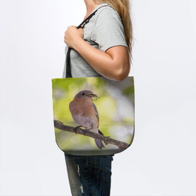 Eastern Bluebird with breakfast by BirdsnStuff