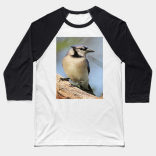 Blue Jay Side Pose Baseball T-Shirt