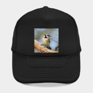 Blue Jay Side Pose Hat