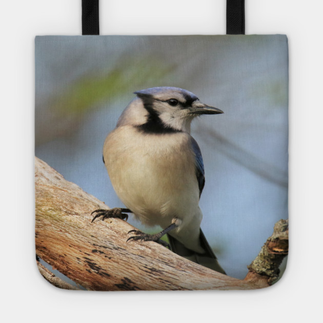 Blue Jay Side Pose Tote by BirdsnStuff