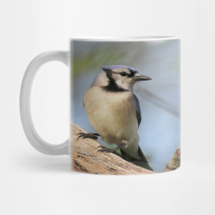 Blue Jay Side Pose Mug
