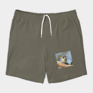 Blue Jay Side Pose Shorts