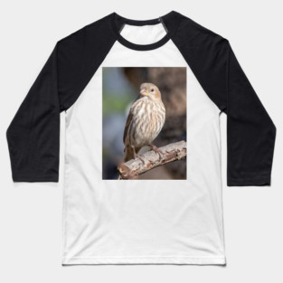 A Very Sweet Female House Finch Posing Prettily Baseball T-Shirt