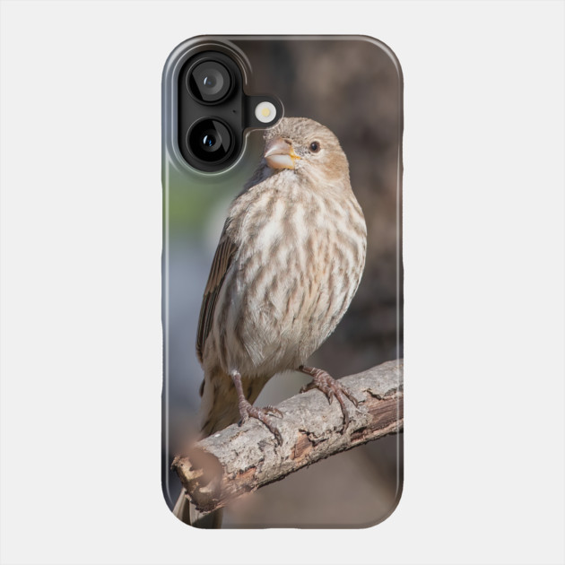 A Very Sweet Female House Finch Posing Prettily Phone Case by BirdsnStuff