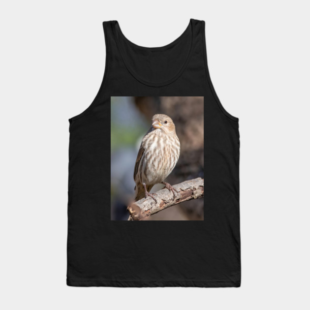A Very Sweet Female House Finch Posing Prettily Tank Top by BirdsnStuff