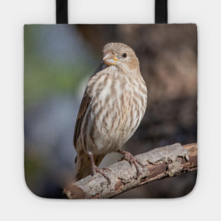 A Very Sweet Female House Finch Posing Prettily Tote