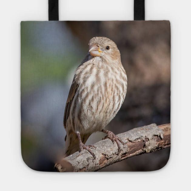 A Very Sweet Female House Finch Posing Prettily Tote by BirdsnStuff