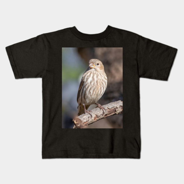 A Very Sweet Female House Finch Posing Prettily Kids T-Shirt by BirdsnStuff