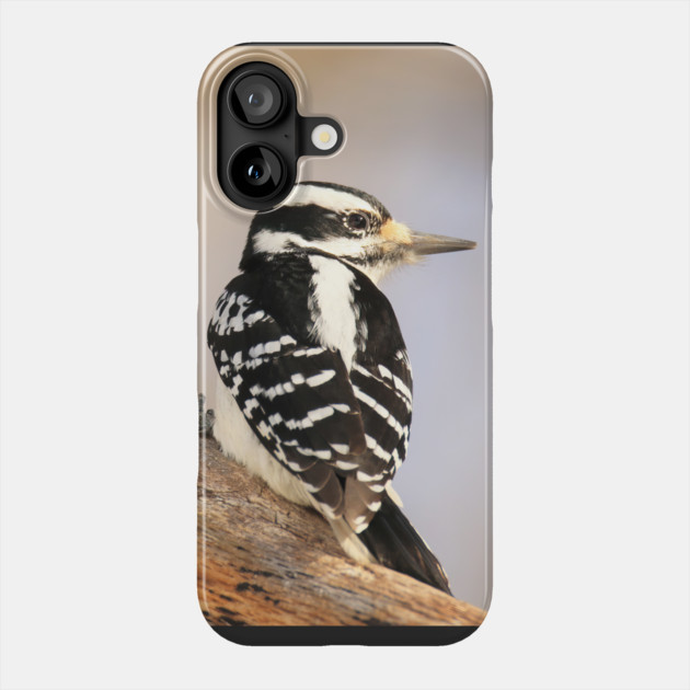Hairy Woodpecker, bird, North American Bird, Songbird, Backyard Bird Phone Case by BirdsnStuff