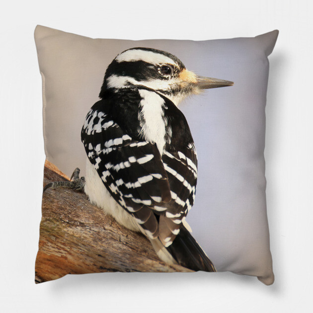 Hairy Woodpecker, bird, North American Bird, Songbird, Backyard Bird Pillow by BirdsnStuff