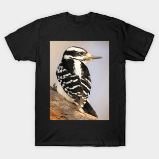Hairy Woodpecker, bird, North American Bird, Songbird, Backyard Bird T-Shirt