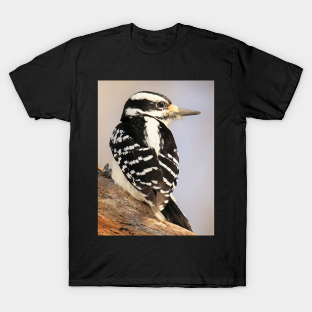 Hairy Woodpecker, bird, North American Bird, Songbird, Backyard Bird T-Shirt by BirdsnStuff