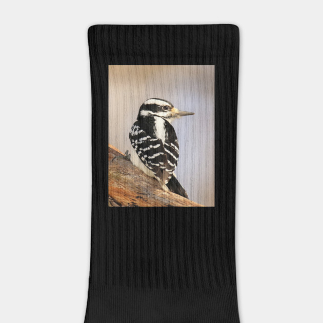 Hairy Woodpecker, bird, North American Bird, Songbird, Backyard Bird by BirdsnStuff