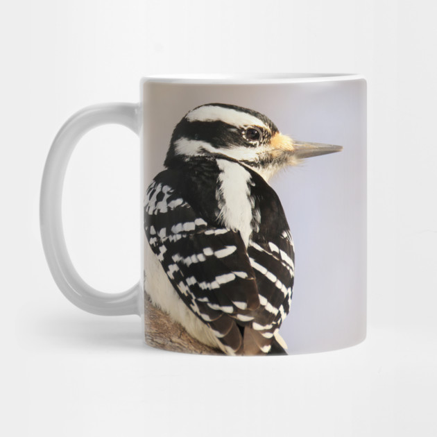 Hairy Woodpecker, bird, North American Bird, Songbird, Backyard Bird by BirdsnStuff