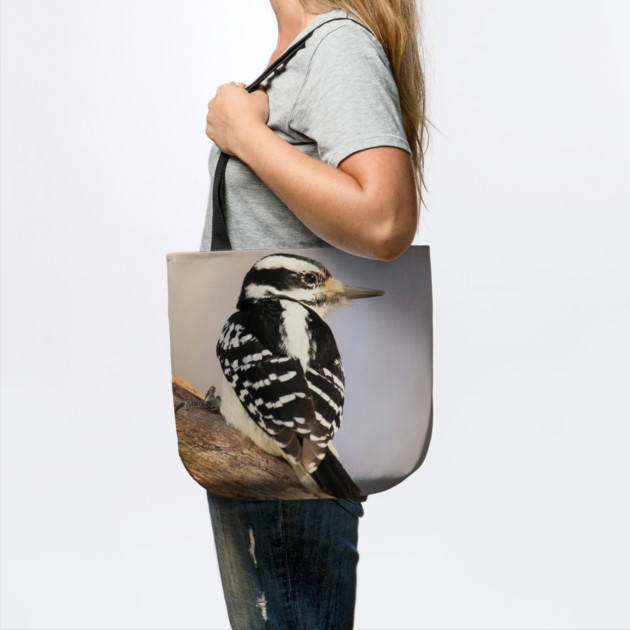 Hairy Woodpecker, bird, North American Bird, Songbird, Backyard Bird by BirdsnStuff