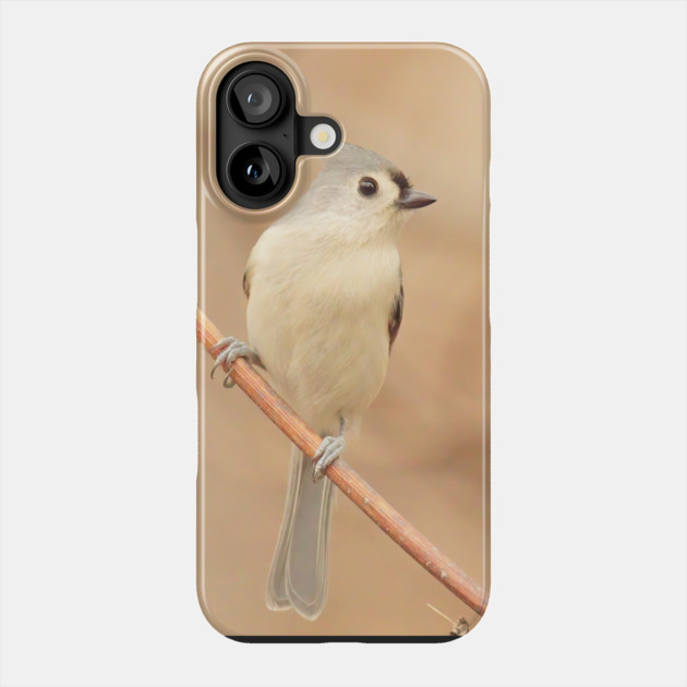 Tufted Titmouse with soft out of focus background Phone Case by BirdsnStuff