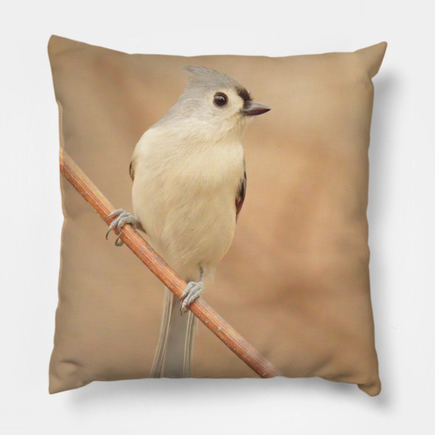 Tufted Titmouse with soft out of focus background Pillow by BirdsnStuff