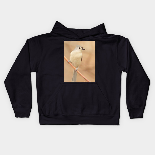 Tufted Titmouse with soft out of focus background Kids Hoodie by BirdsnStuff