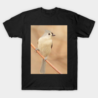 Tufted Titmouse with soft out of focus background T-Shirt