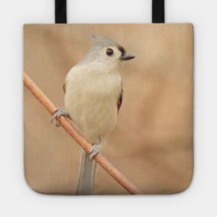 Tufted Titmouse with soft out of focus background Tote