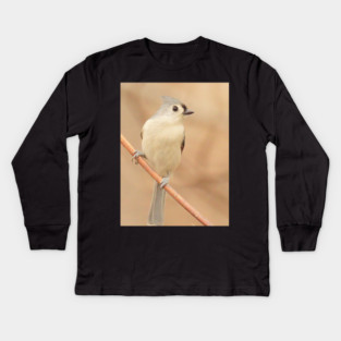 Tufted Titmouse with soft out of focus background Kids Long Sleeve T-Shirt