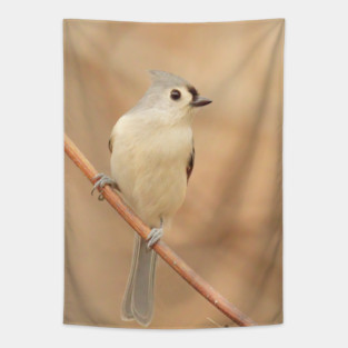 Tufted Titmouse with soft out of focus background Tapestry