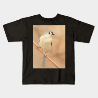 Tufted Titmouse with soft out of focus background Kids T-Shirt