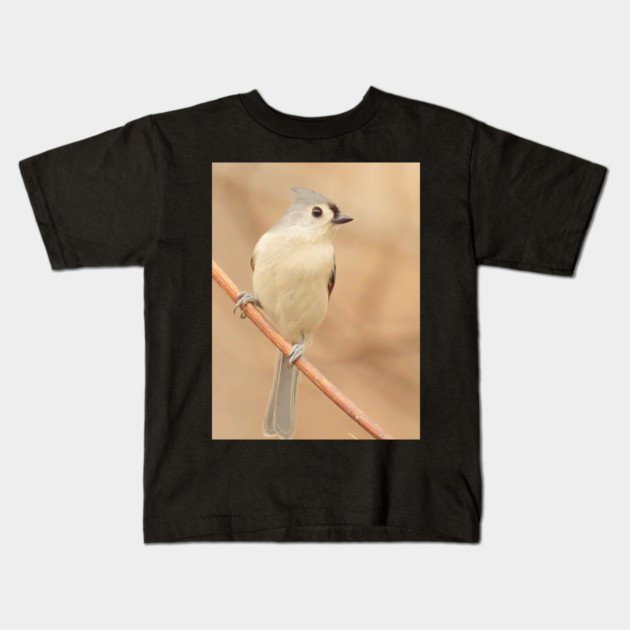 Tufted Titmouse with soft out of focus background Kids T-Shirt by BirdsnStuff