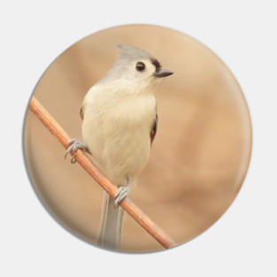 Tufted Titmouse with soft out of focus background Pin