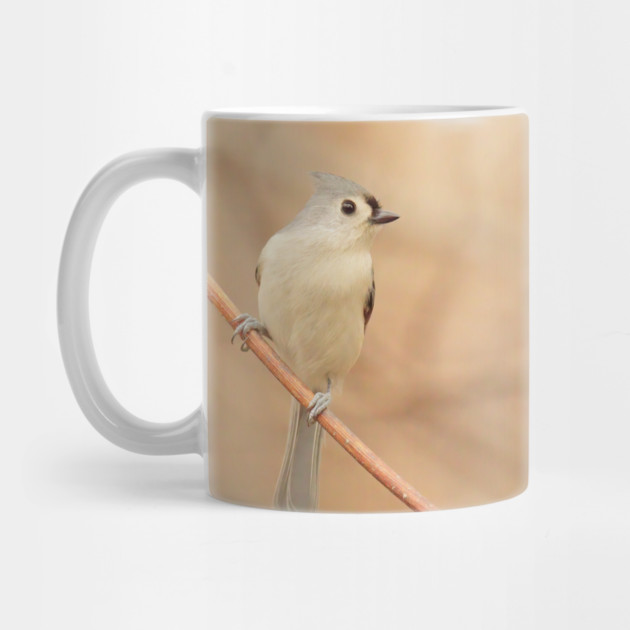 Tufted Titmouse with soft out of focus background by BirdsnStuff