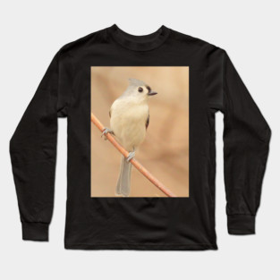 Tufted Titmouse with soft out of focus background Long Sleeve T-Shirt