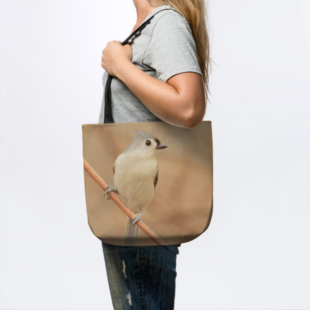 Tufted Titmouse with soft out of focus background by BirdsnStuff