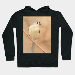 Tufted Titmouse with soft out of focus background Hoodie