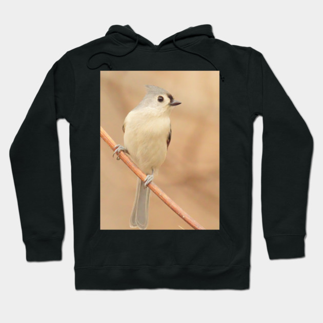 Tufted Titmouse with soft out of focus background Hoodie by BirdsnStuff