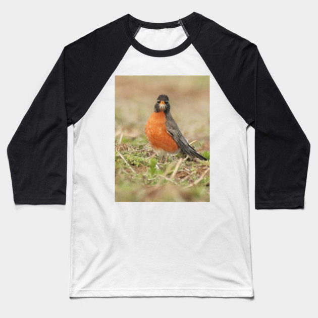 American Robin bird in an open field with out of focus foreground and background Baseball T-Shirt by BirdsnStuff