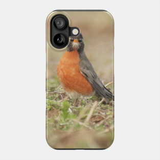 American Robin bird in an open field with out of focus foreground and background Phone Case