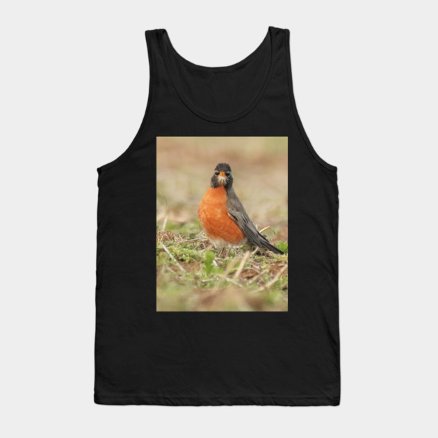 American Robin bird in an open field with out of focus foreground and background Tank Top by BirdsnStuff