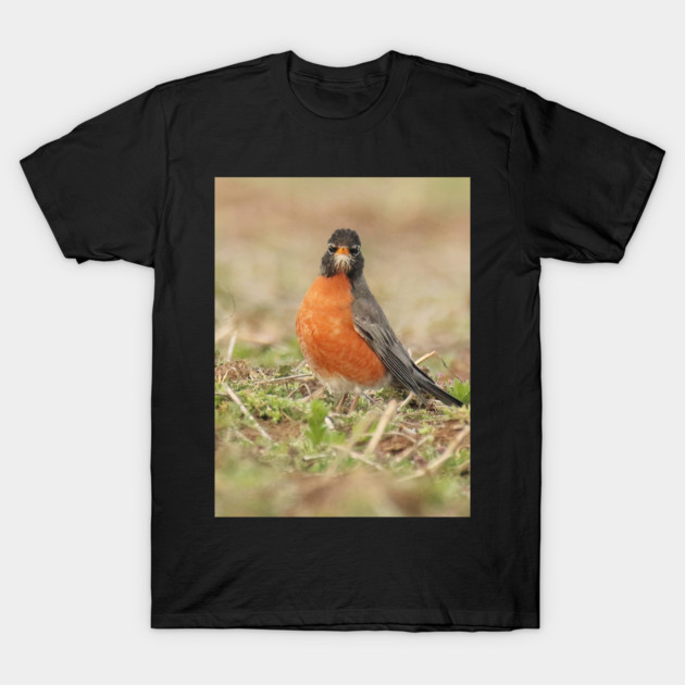 American Robin bird in an open field with out of focus foreground and background T-Shirt by BirdsnStuff