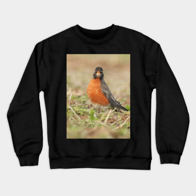 American Robin bird in an open field with out of focus foreground and background Crewneck Sweatshirt by BirdsnStuff