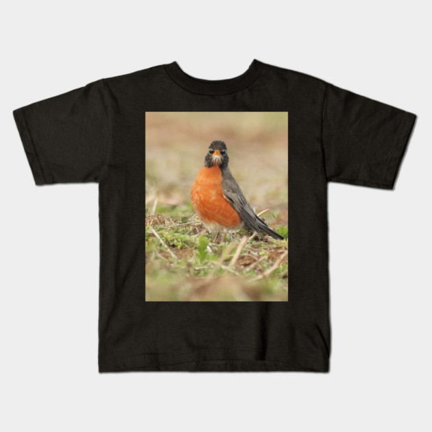 American Robin bird in an open field with out of focus foreground and background Kids T-Shirt by BirdsnStuff