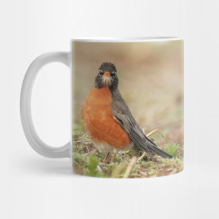 American Robin bird in an open field with out of focus foreground and background Mug
