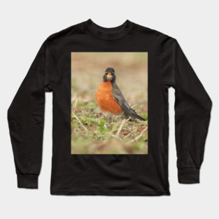 American Robin bird in an open field with out of focus foreground and background Long Sleeve T-Shirt