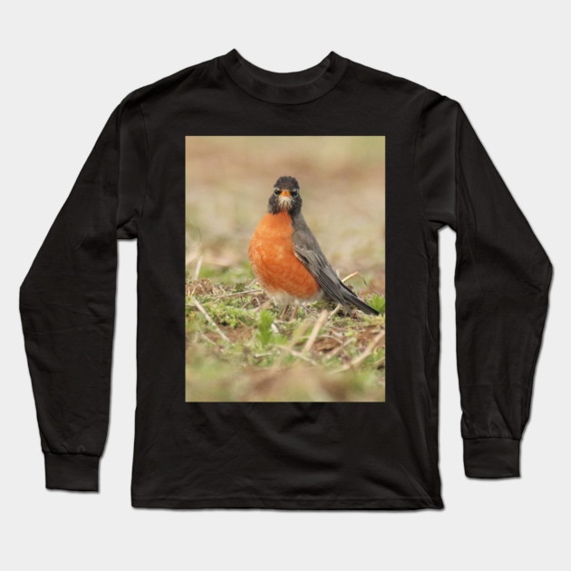 American Robin bird in an open field with out of focus foreground and background Long Sleeve T-Shirt by BirdsnStuff