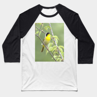 Common Yellowthroat bird with soft green out of focus background Baseball T-Shirt