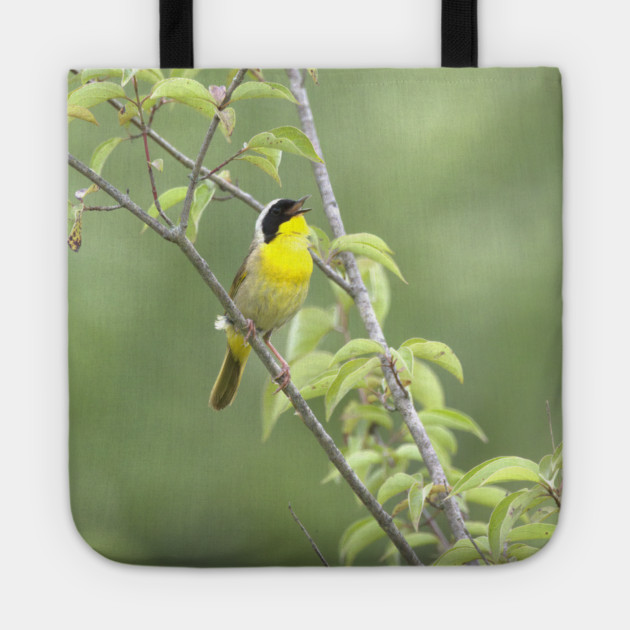 Common Yellowthroat bird with soft green out of focus background Tote by BirdsnStuff